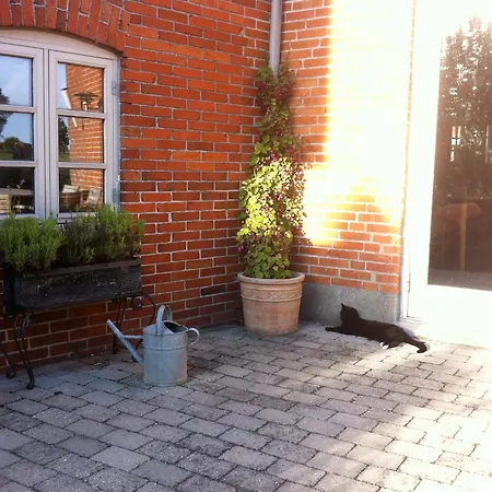 Lundsgaard Bed & Breakfast-3