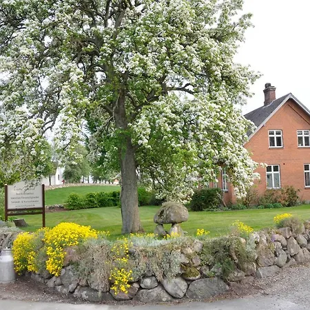 Lundsgaard Bed & Breakfast-2